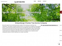 Treeserviceschaumburg.com