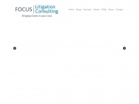 focuslitigation.com