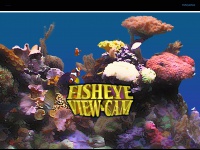 Fisheyeview.com