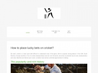 crickethalloffame.org Thumbnail