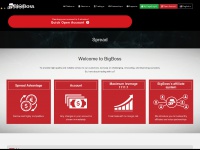bigboss-financial.com