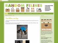 random-felines.com