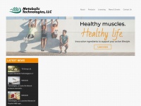 Mettechinc.com