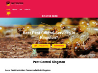 pestcontrolkingston.com.au Thumbnail