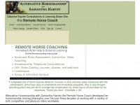 remotehorsecoach.com Thumbnail