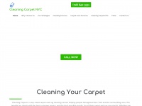 cleaningcarpetnyc.com Thumbnail