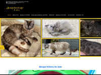 bengalheritagecats.co.uk Thumbnail