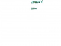 borini.com Thumbnail