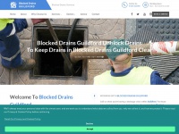 blockeddrains-guildford.uk Thumbnail
