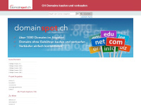 domainspot.ch Thumbnail
