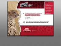 Cheetahpowersurge.com