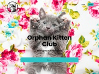 orphankittenclub.org Thumbnail