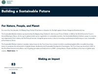 sustainable-markets.org Thumbnail