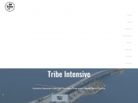 tribeintensive.com Thumbnail