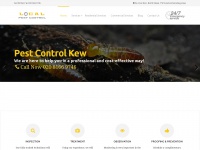 kew-pest-control.co.uk Thumbnail