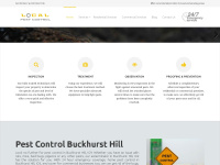 buckhurst-hill-pest-control.co.uk Thumbnail