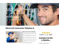 electricianprospalatine.com Thumbnail