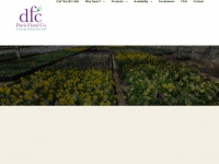 davis-floral.com
