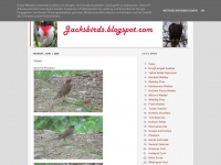 Jacksbirds.blogspot.com