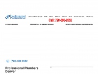Professional-plumbers-denver.com