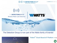 thedetectiongroup.com Thumbnail