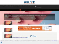 salespop.net Thumbnail