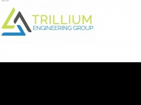 trilliumengineeringgroup.com Thumbnail
