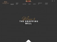 droppingwell.com