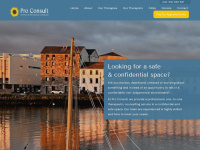 Proconsult.ie