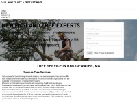 treeservicebridgewater.com Thumbnail
