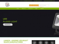 liangxilights.com