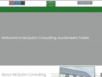 Mcquinnconsulting.ie