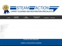 steamactioncarpetcleaning.com
