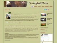 carlingfordhorses.com Thumbnail