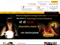 astrologershambhunath.com Thumbnail
