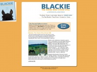 Blackiethehorse.com