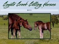 coyotecreekcuttinghorses.com