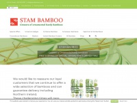 stambamboo.com