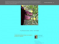 turquoisecro.blogspot.com Thumbnail