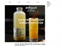 bardjus.com Thumbnail