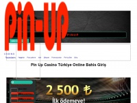 Turkiyetanitimgrubu.org