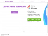 pro-tech-mold-remediation.business.site Thumbnail