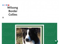Wilsongbordercollies1.com