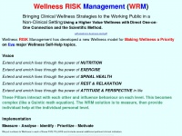 wellnessriskmanagement.com