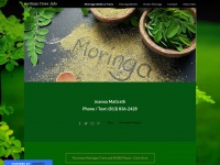 Moringatrees.weebly.com