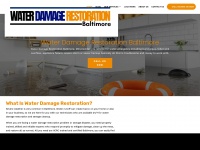 water-damage-restoration-baltimore.com Thumbnail