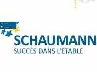 schaumann.fr Thumbnail