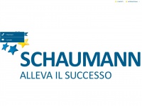 Schaumann.it