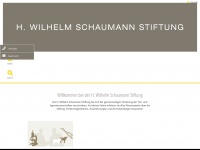 schaumann-stiftung.de Thumbnail