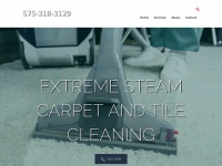 extremesteamclean.com
